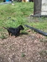 processed/123d7622-d703-40da-88cc-326c1b7c907a/facility/7360524a-d52f-4984-a80b-0e9f5b53f71f