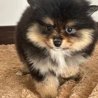 processed/12427ed3-bf52-44dd-9c64-e81eeb7755e6/facility/ad0f4ad4-6c20-4dde-9d2c-8391e04202ce