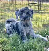 processed/12427ed3-bf52-44dd-9c64-e81eeb7755e6/listing/1eb974f4-822a-4082-a33a-aa3f0f1389d3/402f2525-7a72-4173-be28-24a64ecfe62c