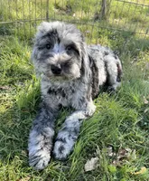 processed/12427ed3-bf52-44dd-9c64-e81eeb7755e6/listing/1eb974f4-822a-4082-a33a-aa3f0f1389d3/787109d9-09a6-44a8-b73d-3cba888e6b2f