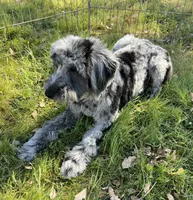 processed/12427ed3-bf52-44dd-9c64-e81eeb7755e6/listing/1eb974f4-822a-4082-a33a-aa3f0f1389d3/8beaa597-cfdf-43b6-9f9a-ef94deb2d80e