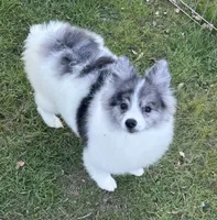 processed/12427ed3-bf52-44dd-9c64-e81eeb7755e6/listing/fe824ff6-f585-4eaa-94b0-5e9dc1b605de/69350949-2281-4cd5-ad74-6923b3110390