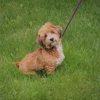 processed/12480b88-1e78-4cf6-b447-b9cf21f702f6/facility/823eb867-a11c-44bd-a7b9-4fccc0ea6f8d