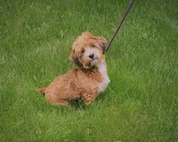 processed/12480b88-1e78-4cf6-b447-b9cf21f702f6/facility/823eb867-a11c-44bd-a7b9-4fccc0ea6f8d