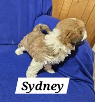 processed/12480b88-1e78-4cf6-b447-b9cf21f702f6/listing/c3f6efe1-19c1-4308-901e-630e0ed162c8/1af049fb-6199-4534-9439-203731e5e0ae