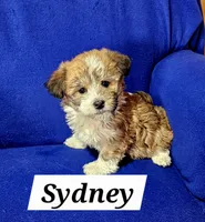 processed/12480b88-1e78-4cf6-b447-b9cf21f702f6/listing/c3f6efe1-19c1-4308-901e-630e0ed162c8/4e1bb88a-06a8-482b-94a0-7ac1b91fe98f