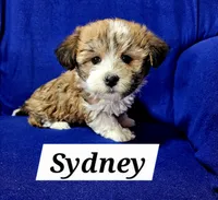 processed/12480b88-1e78-4cf6-b447-b9cf21f702f6/listing/c3f6efe1-19c1-4308-901e-630e0ed162c8/66c27a42-7c0b-487c-914b-0d41f29256dd