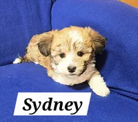 processed/12480b88-1e78-4cf6-b447-b9cf21f702f6/listing/c3f6efe1-19c1-4308-901e-630e0ed162c8/a3d10abe-d71e-4d40-bbbd-f517fc7e5d6e