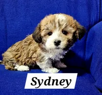 processed/12480b88-1e78-4cf6-b447-b9cf21f702f6/listing/c3f6efe1-19c1-4308-901e-630e0ed162c8/fdc54c3f-a8f4-459f-a1cf-2324670ca235