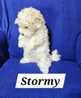 processed/12480b88-1e78-4cf6-b447-b9cf21f702f6/listing/d732ade6-e380-4ae5-a787-fea337636c7b/6bbfac00-33fc-4d50-8dbc-8024cf6be810