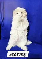 processed/12480b88-1e78-4cf6-b447-b9cf21f702f6/listing/d732ade6-e380-4ae5-a787-fea337636c7b/6c4ae67f-5b21-4089-b8e8-3de6d1c4889b