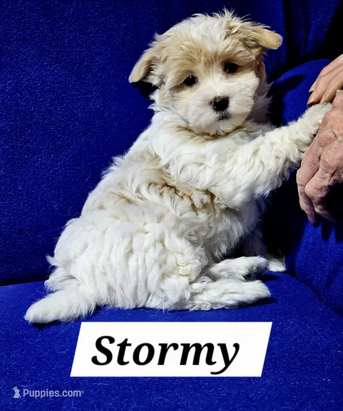 Stormy