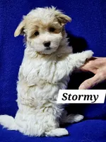 processed/12480b88-1e78-4cf6-b447-b9cf21f702f6/listing/d732ade6-e380-4ae5-a787-fea337636c7b/f759acb8-a823-4716-9674-c3652496c5ad