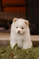 processed/124d9c73-6216-4d43-81e3-120fe589fde7/facility/0e534b1e-1f3b-4ea6-83ae-4919bbafba32