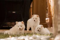 processed/124d9c73-6216-4d43-81e3-120fe589fde7/facility/0e5b2a8d-d913-439a-97c2-bb6c1c367964