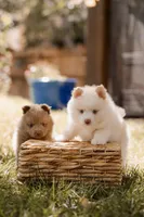 processed/124d9c73-6216-4d43-81e3-120fe589fde7/facility/2da0bc15-bc80-458f-94f0-db0f5b42d1d8