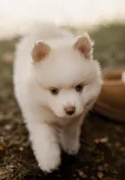 processed/124d9c73-6216-4d43-81e3-120fe589fde7/facility/947538cc-28ee-45c5-a8d3-f8bc4327919d