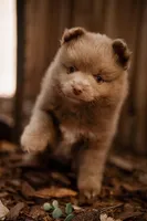 processed/124d9c73-6216-4d43-81e3-120fe589fde7/facility/9fe71cb2-26c3-4891-b5a1-d80428284208