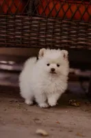 processed/124d9c73-6216-4d43-81e3-120fe589fde7/facility/b4c7304b-f016-4400-b137-e45eecb50118