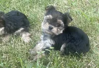 processed/1252269a-4119-46f8-8b95-52cc625d974c/facility/3259d67d-c939-4670-b11f-fe118af9df45