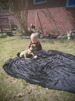 Heidi , a female American Pit Bull Terrier and Bluetick Coonhound for sale in Aiken, SC – Photo 3 of 10