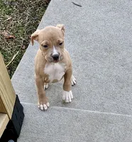 processed/12596be3-34de-47de-8749-e954e3dc920c/listing/159d37de-55fd-4e41-ab75-fbc269544dcf/10f2ce82-3683-4048-975c-4a3bf4401fb7