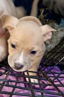 processed/12596be3-34de-47de-8749-e954e3dc920c/listing/159d37de-55fd-4e41-ab75-fbc269544dcf/5e1202cc-73bd-4dfa-82d8-00640818c7ad