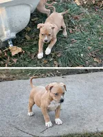 processed/12596be3-34de-47de-8749-e954e3dc920c/listing/159d37de-55fd-4e41-ab75-fbc269544dcf/c996994d-3f15-4bdc-bf3c-b980ba5494e8