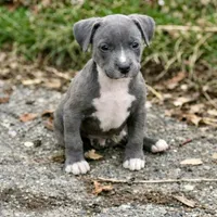 processed/12596be3-34de-47de-8749-e954e3dc920c/listing/dcd6c6cb-8ede-4c97-99ba-7f42ac714f12/8ebb0b60-b58a-4ae4-a554-6e57f0f85ca5