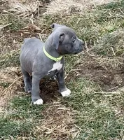 processed/12596be3-34de-47de-8749-e954e3dc920c/listing/dcd6c6cb-8ede-4c97-99ba-7f42ac714f12/ea6ec54d-9871-4abc-81b4-c378ec0ba9bd