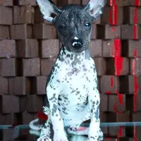 processed/126bd533-4207-4de9-8bc4-d448b8be0752/facility/123eab49-9837-4fd1-9d9f-5b76e444bf0f