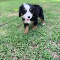 processed/126bd533-4207-4de9-8bc4-d448b8be0752/facility/3a9619e6-3c41-4cf1-bb3f-64cf26b5ac05