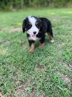 processed/126bd533-4207-4de9-8bc4-d448b8be0752/facility/3a9619e6-3c41-4cf1-bb3f-64cf26b5ac05