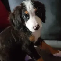 processed/126bd533-4207-4de9-8bc4-d448b8be0752/facility/6c86b48c-67b8-4cf4-8557-e59c66972e2e