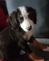 processed/126bd533-4207-4de9-8bc4-d448b8be0752/facility/6c86b48c-67b8-4cf4-8557-e59c66972e2e