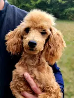 processed/126bd533-4207-4de9-8bc4-d448b8be0752/listing/24238e3a-c348-42ef-a815-9bd769630607/1a318907-3812-4d71-9e6e-55ba459e3edc