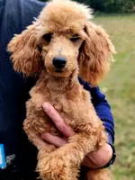 processed/126bd533-4207-4de9-8bc4-d448b8be0752/listing/24238e3a-c348-42ef-a815-9bd769630607/1eb8cc37-f498-4617-9937-0bc8de654a51