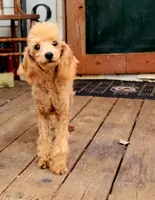 processed/126bd533-4207-4de9-8bc4-d448b8be0752/listing/24238e3a-c348-42ef-a815-9bd769630607/5a503fcf-0a60-49a2-a304-eae0d069cf64