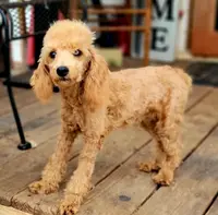 processed/126bd533-4207-4de9-8bc4-d448b8be0752/listing/24238e3a-c348-42ef-a815-9bd769630607/5ff06991-ab5c-4006-9caa-e4a76429fd6c