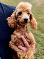 processed/126bd533-4207-4de9-8bc4-d448b8be0752/listing/24238e3a-c348-42ef-a815-9bd769630607/94d98d32-f6e7-4849-9dab-7cd95f7a1c26