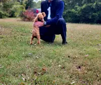 processed/126bd533-4207-4de9-8bc4-d448b8be0752/listing/24238e3a-c348-42ef-a815-9bd769630607/b199c3ac-4c9f-481c-9110-23c57ad68a1e