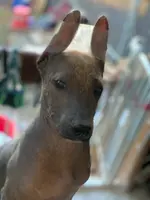 processed/126bd533-4207-4de9-8bc4-d448b8be0752/listing/2b320ea4-0609-41b7-b3a8-29a5558763a5/2232efb4-28d0-4d49-b4b8-f2ae8c13bb47