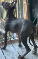 processed/126bd533-4207-4de9-8bc4-d448b8be0752/listing/2b320ea4-0609-41b7-b3a8-29a5558763a5/3d682cfe-9918-4c5c-b106-65c9d9aabd60