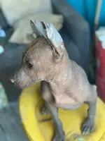 processed/126bd533-4207-4de9-8bc4-d448b8be0752/listing/2b320ea4-0609-41b7-b3a8-29a5558763a5/e7f06fd2-187c-4631-9ccf-73fae8bc5c2b