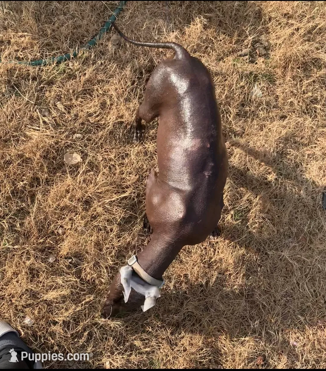 processed/126bd533-4207-4de9-8bc4-d448b8be0752/listing/c6178189-5bc4-4792-9661-590afd9ec32c/1106fe5e-31fa-46fe-aacf-b047e800e1b4