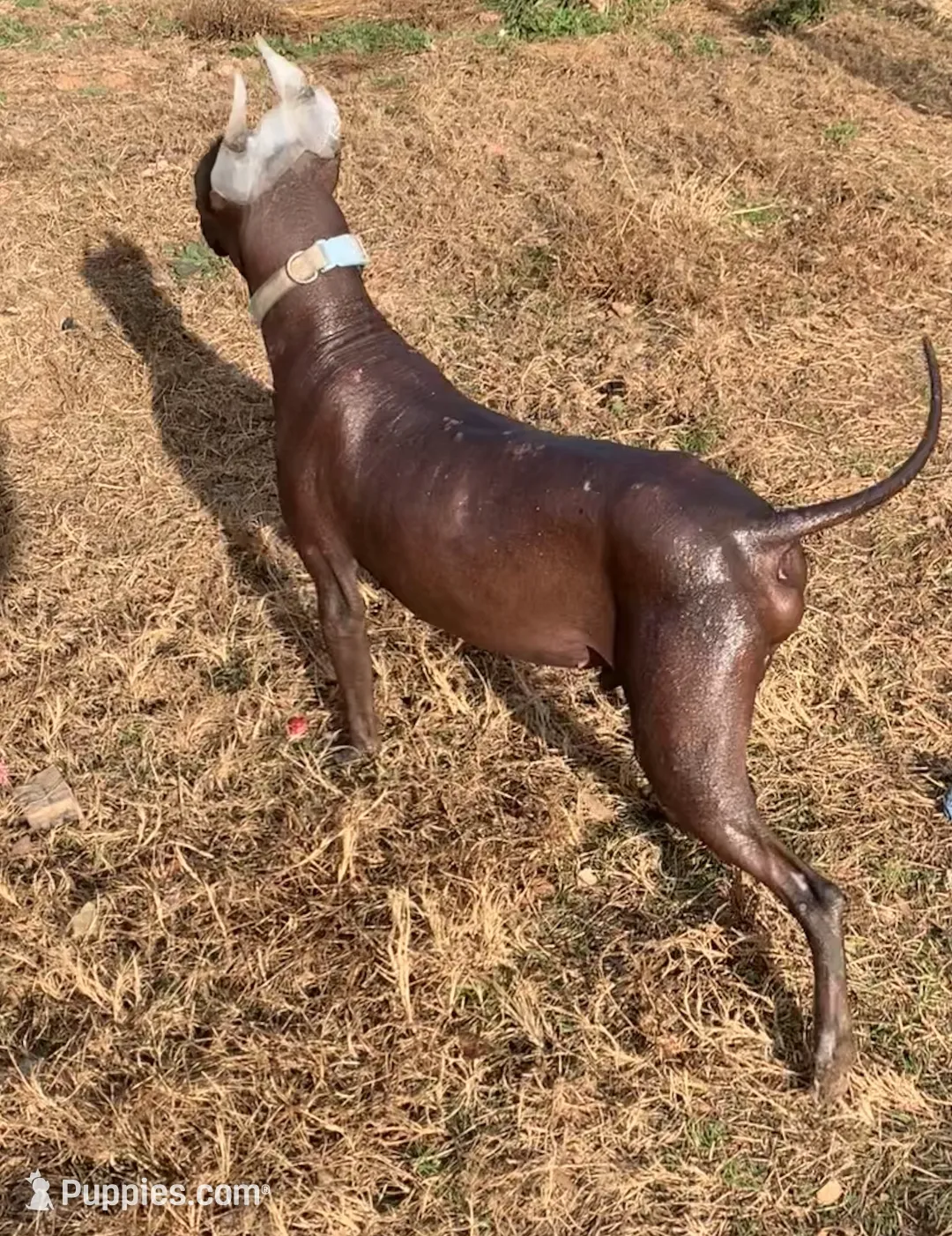 processed/126bd533-4207-4de9-8bc4-d448b8be0752/listing/c6178189-5bc4-4792-9661-590afd9ec32c/81267818-1222-4bcc-ac02-02a6d5552ae1