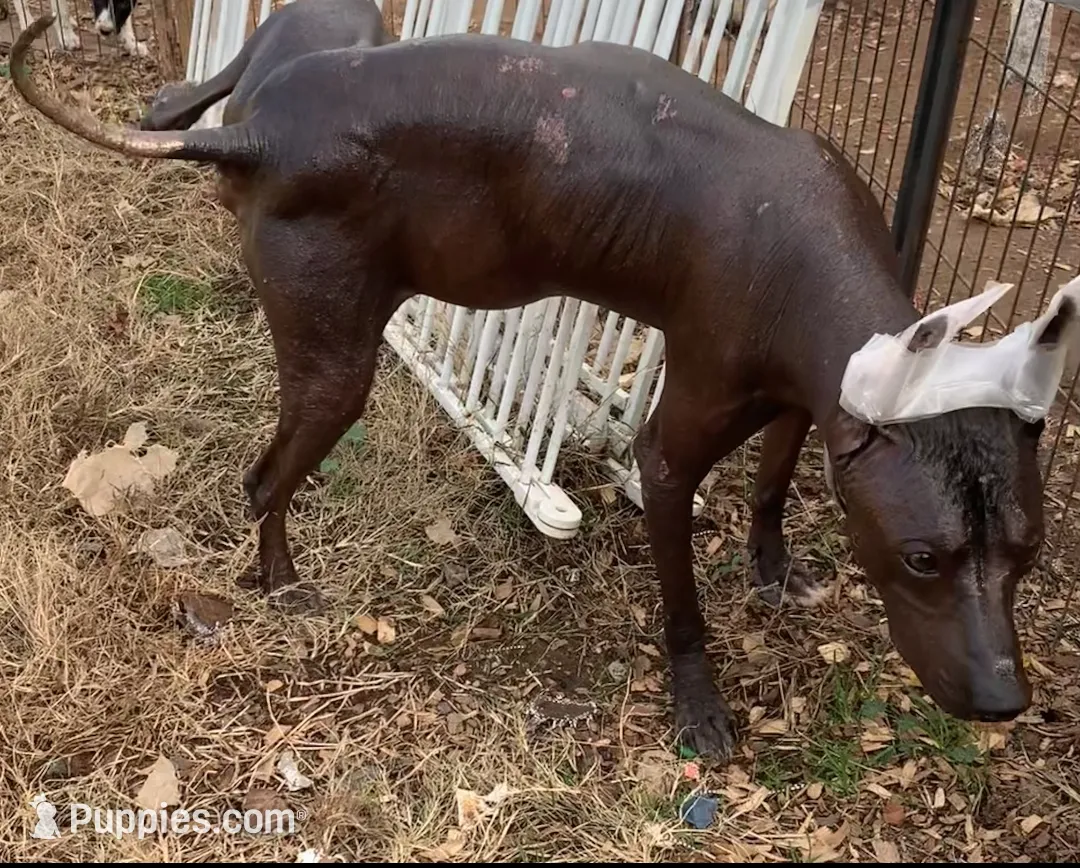 processed/126bd533-4207-4de9-8bc4-d448b8be0752/listing/c6178189-5bc4-4792-9661-590afd9ec32c/9279788f-2235-4c1c-ba75-ba1f8adde4f7