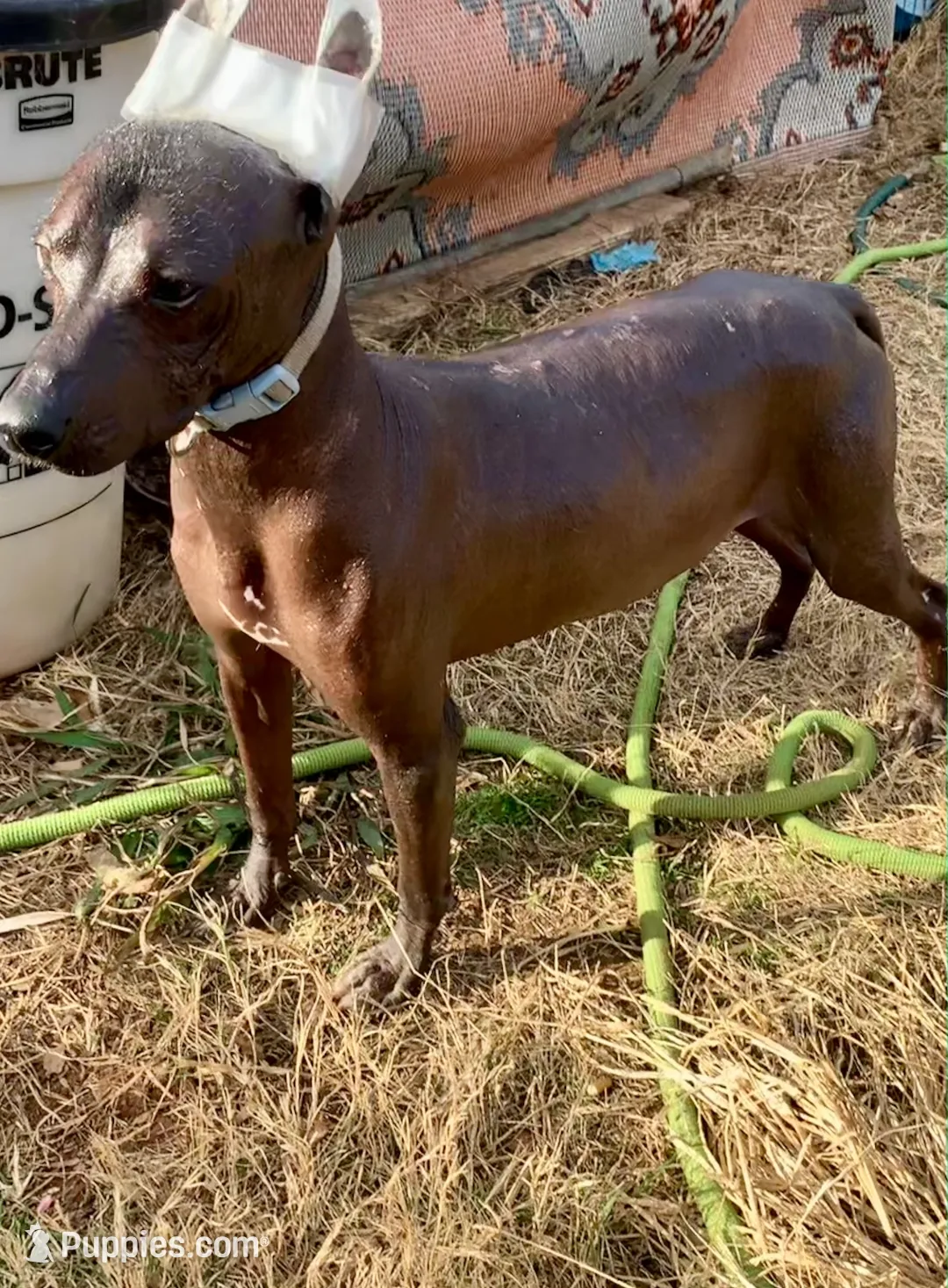 processed/126bd533-4207-4de9-8bc4-d448b8be0752/listing/c6178189-5bc4-4792-9661-590afd9ec32c/cad46a2b-583f-4ffc-8103-12a93274292d