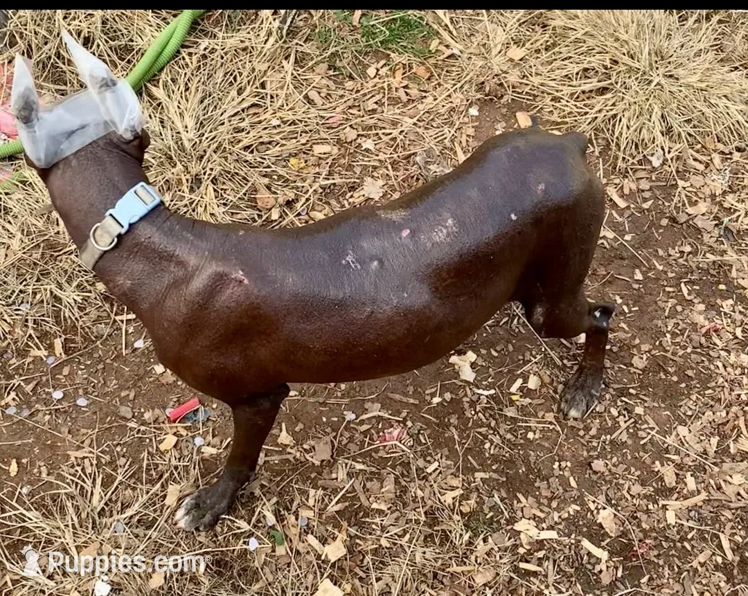 processed/126bd533-4207-4de9-8bc4-d448b8be0752/listing/c6178189-5bc4-4792-9661-590afd9ec32c/dfd10109-18f5-4b15-8bd8-6d972032fb58