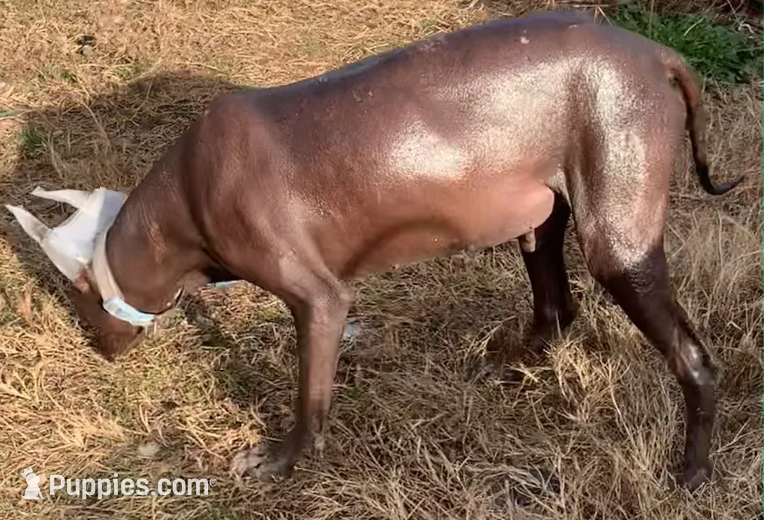 processed/126bd533-4207-4de9-8bc4-d448b8be0752/listing/c6178189-5bc4-4792-9661-590afd9ec32c/ebe3c582-dd7b-4f2a-bda8-46c008e66374